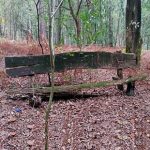 Een bankje in het bos leent zich uitstekend voor mindfulness