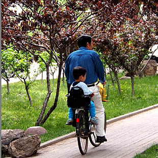 Samen op de fiets, werkende vader en zoon