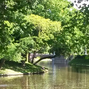 Tip augustus 2021: Neem eens een bosbad